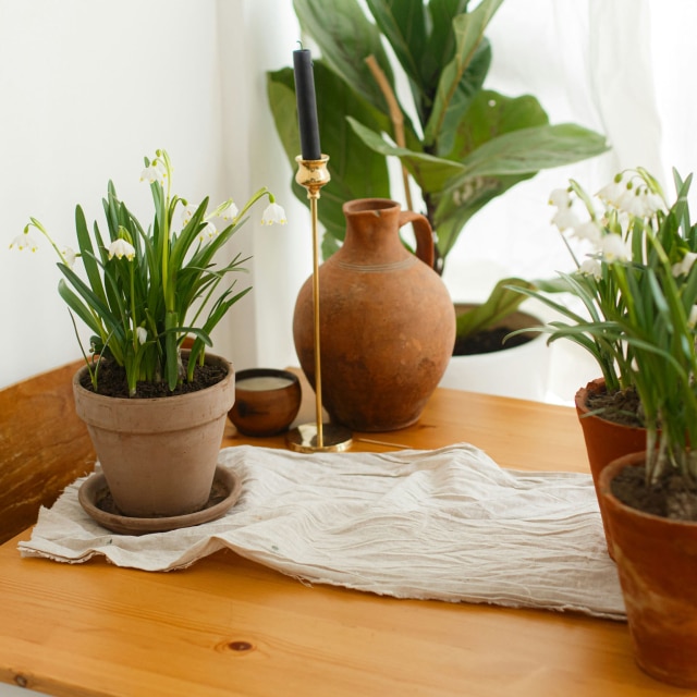 epv-lifestyle-photo2